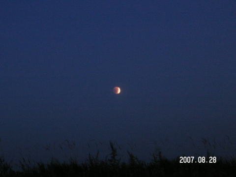 s_PICT0394.jpg